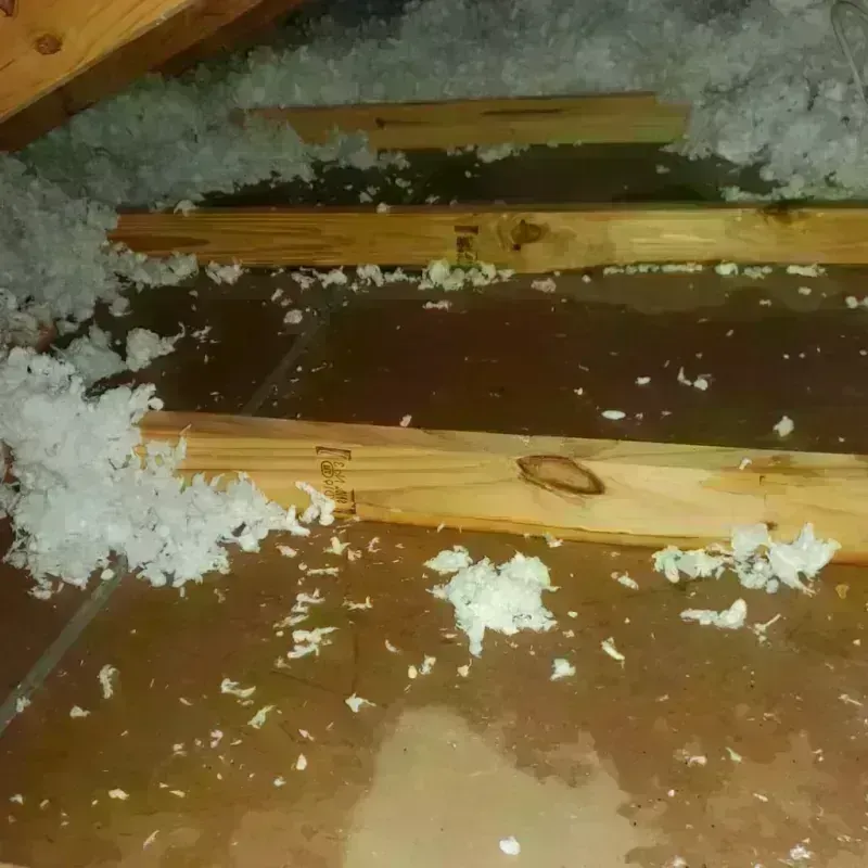 Attic Water Damage in Granite Shoals, TX