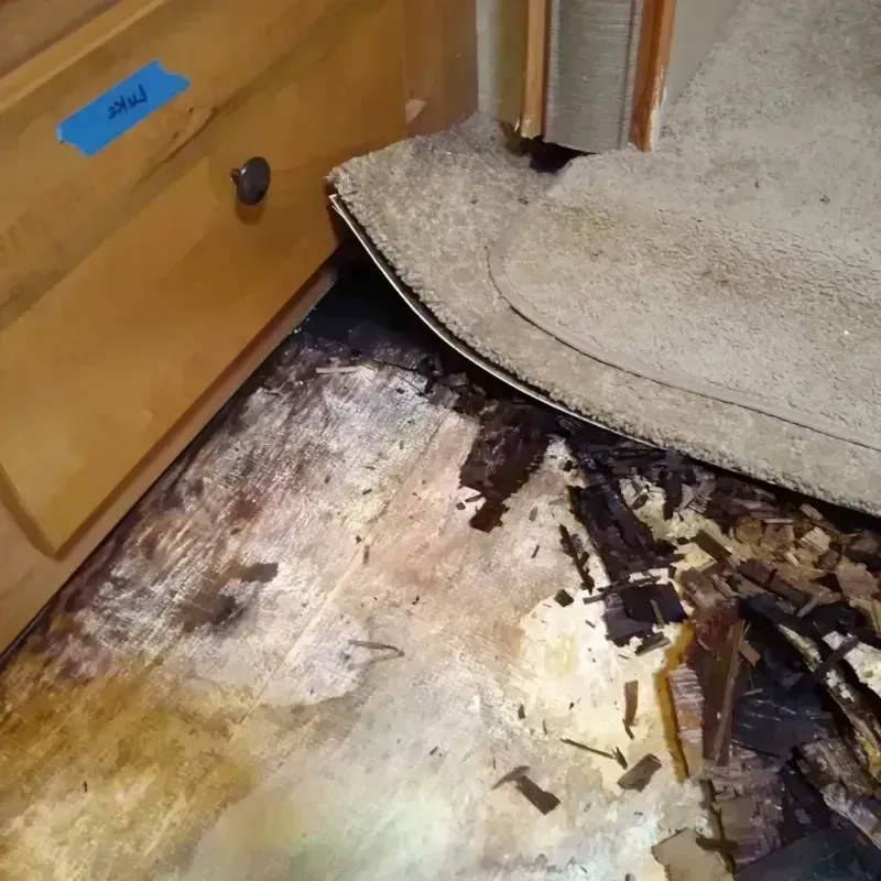 Best Wood Floor Water Damage Service in Granite Shoals, TX